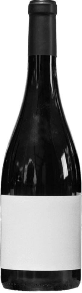 Palpite